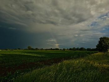 Scenic view of field against sky