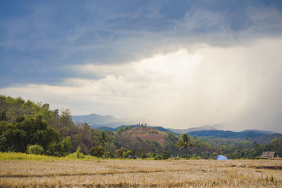 Scenic view of field against sky