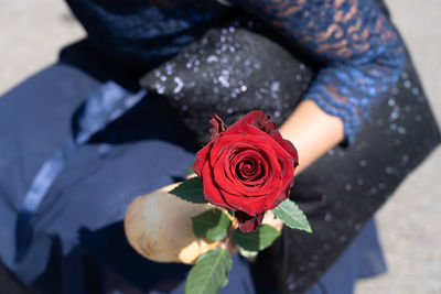 Close-up of rose bouquet