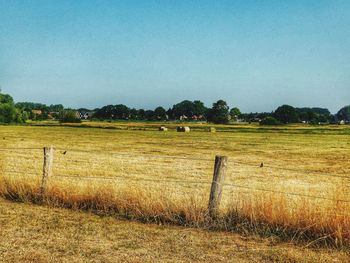 Hay bales on field against clear sky