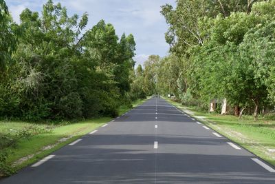 Empty road along trees