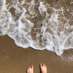 Low section of person standing on beach