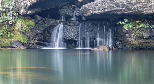 Scenic view of waterfall in forest