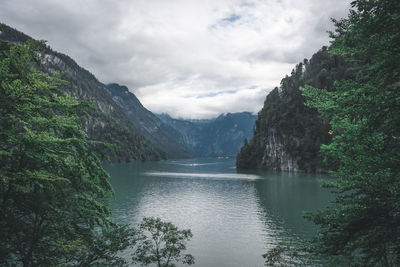 Scenic view of river amidst trees in forest against sky