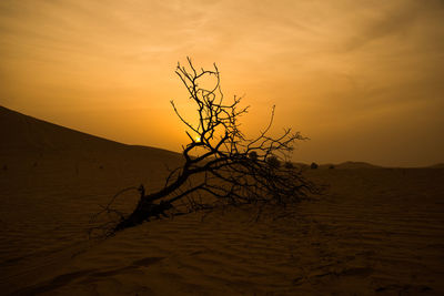 Scenic view of landscape against sky during sunset