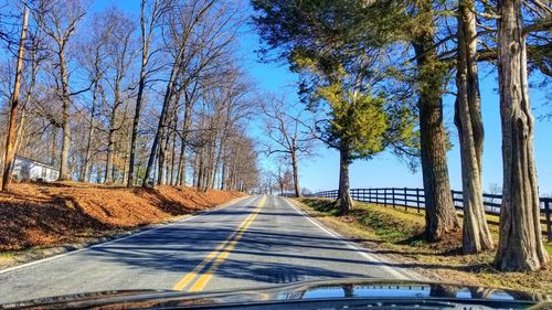 Road amidst bare trees against clear sky