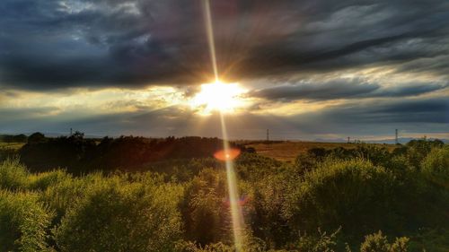 Scenic view of grassy field against cloudy sky