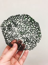 Cropped hand holding green food item against white background