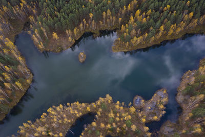 High angle view of lake amidst trees during autumn