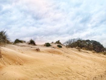 Scenic view of desert against sky