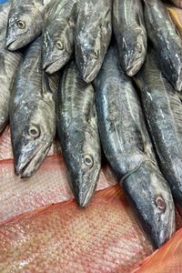 seafood