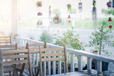 Potted plants on table in restaurant