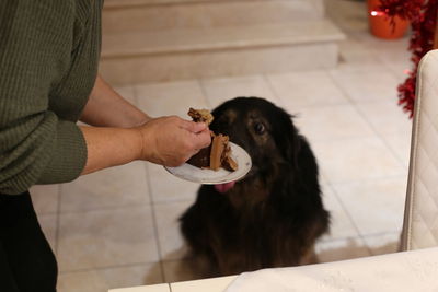 Midsection of woman holding cake next to dog