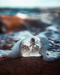 Crystal ball on beach sand with palm trees inside reflected from puerto rico