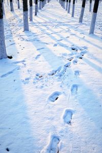 High angle view of footprints on snow covered field