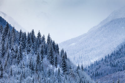Scenic view of snow covered mountain against sky