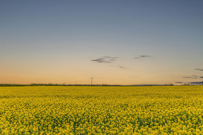 Scenic view of field against sky during sunset