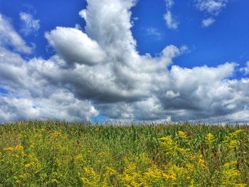 Scenic view of field against cloudy sky