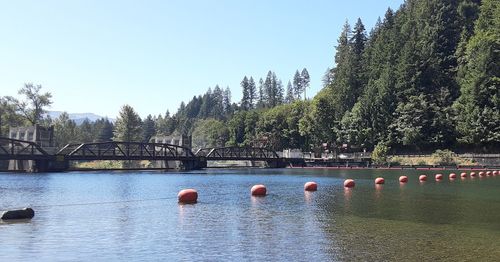 Scenic view of river against clear sky