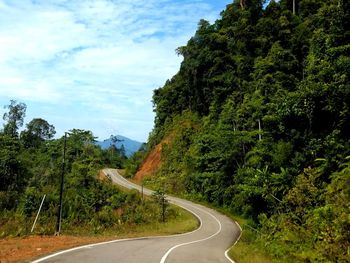 Empty road along trees and plants