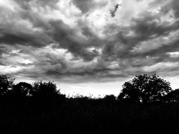Silhouette trees on landscape against storm clouds