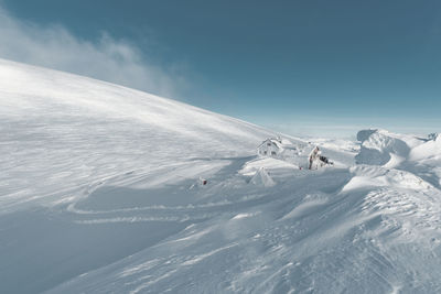 Winter landscape