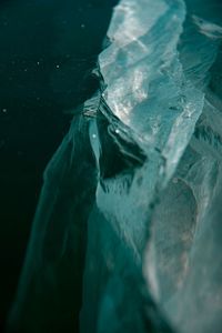 High angle view of fish swimming in sea