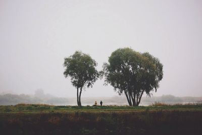 Trees on field against clear sky