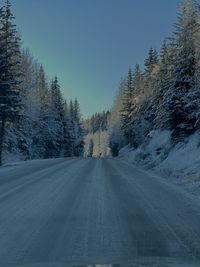 Road amidst trees against sky during winter