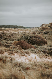 Scenic view of land against sky at nationaal park zuid-kennemerland