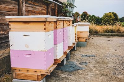 View of wooden structure