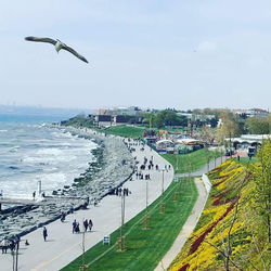 High angle view of seagulls flying over sea