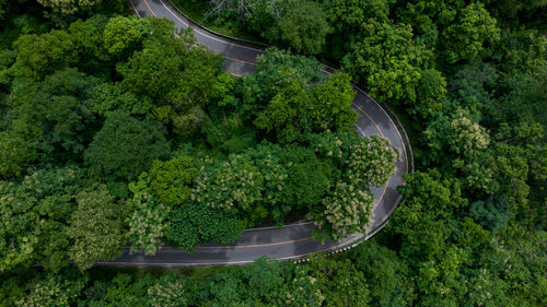 Aerial top view of road in green tree forest, top view from drone of rural road, mountains, forest.