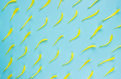 Low angle view of birds flying against blue sky