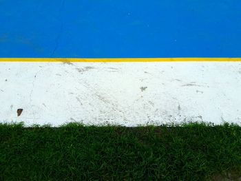 High angle view of grass