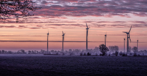 Frosty winter morning in ostfriesland