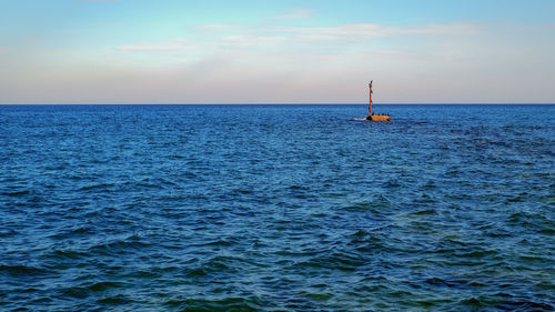 Seascape with black sea birds loafing on the rock near the beach