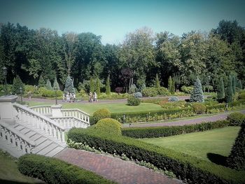 Trees in park