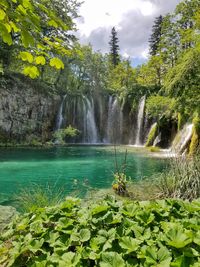 Scenic view of waterfall in forest against sky