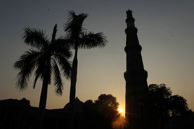 Silhouette of palm trees at sunset