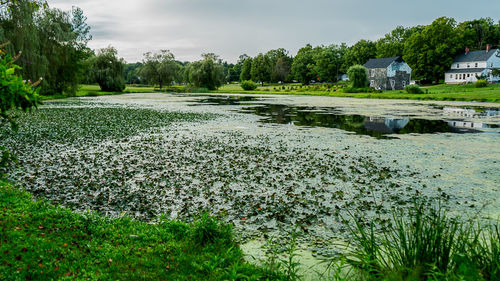 Scenic view of grassy field by lake against sky