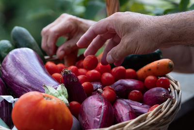 Picking up cherry tomatoes from a wicker basket full of aubergines, zucchini, carrots and shallots