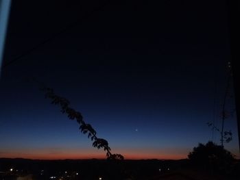 Silhouette trees against sky at night