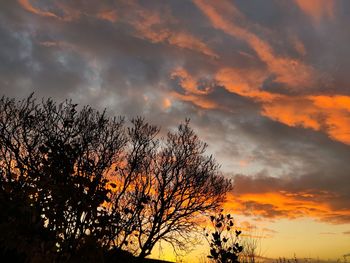 Low angle view of silhouette tree against dramatic sky