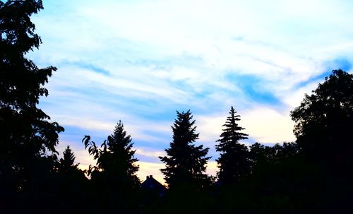 Low angle view of silhouette trees against sky at sunset