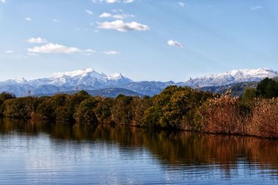 Scenic view of lake by trees against sky