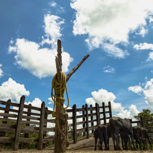 Panoramic view of wooden post on field against sky