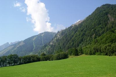 Scenic view of green landscape against sky