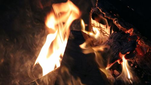 Close-up of bonfire at night