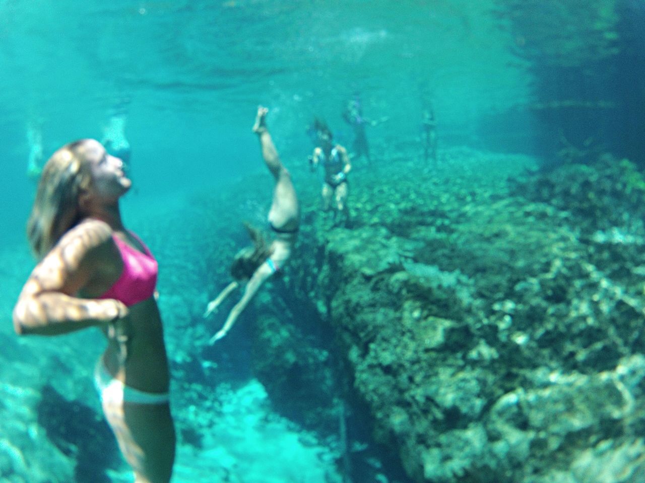 swimming, water, lifestyles, leisure activity, underwater, men, animal themes, togetherness, sea, undersea, blue, animals in the wild, fish, high angle view, wildlife, sea life, full length